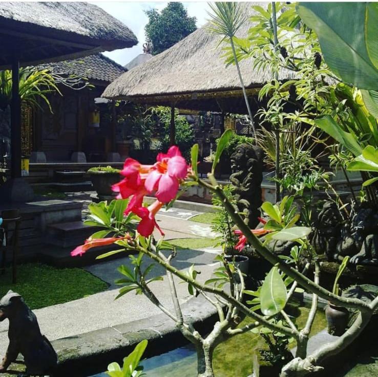 Family Guest House Убуд Екстериор снимка